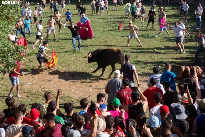 Lavalenguas 2025