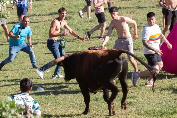 Lavalenguas 2025