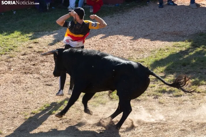 Lavalenguas 2025