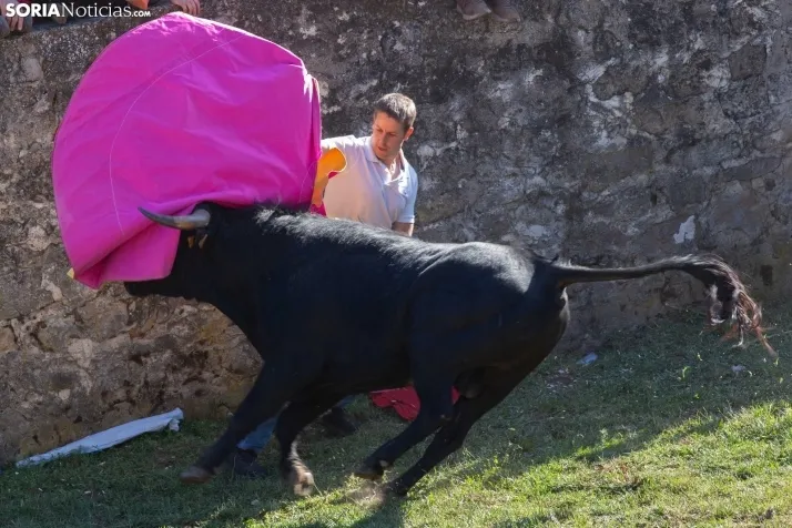 Lavalenguas 2025