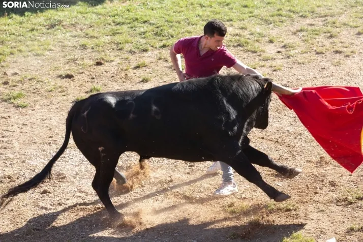 Lavalenguas 2025