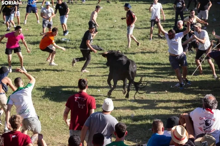 Lavalenguas 2025