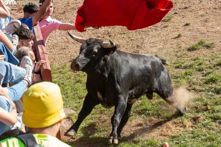 Lavalenguas 2025