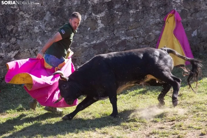 Lavalenguas 2025