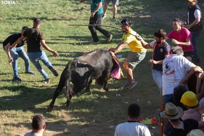 Lavalenguas 2025