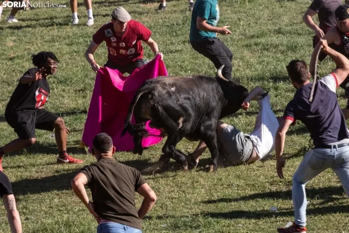 Lavalenguas 2025