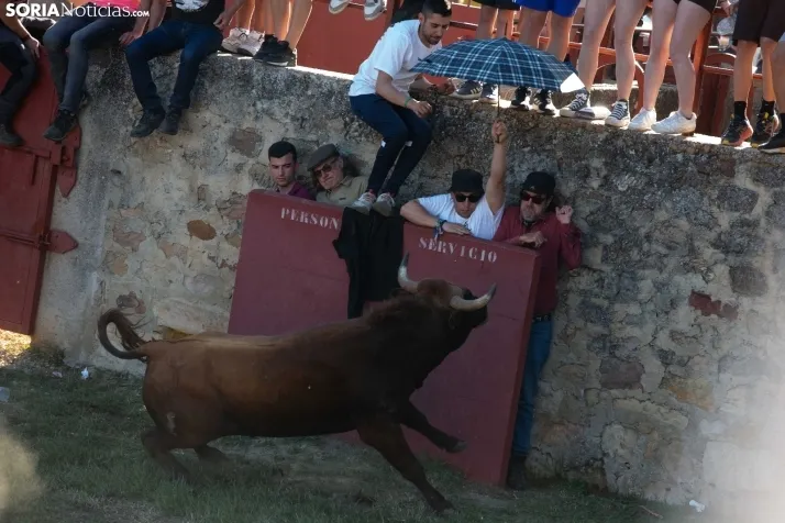 Lavalenguas 2025