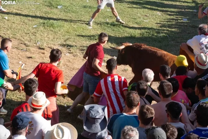 Lavalenguas 2025