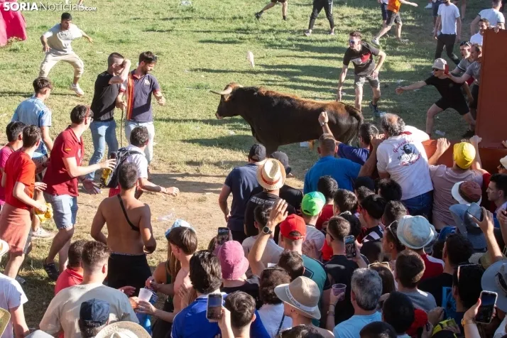 Lavalenguas 2025