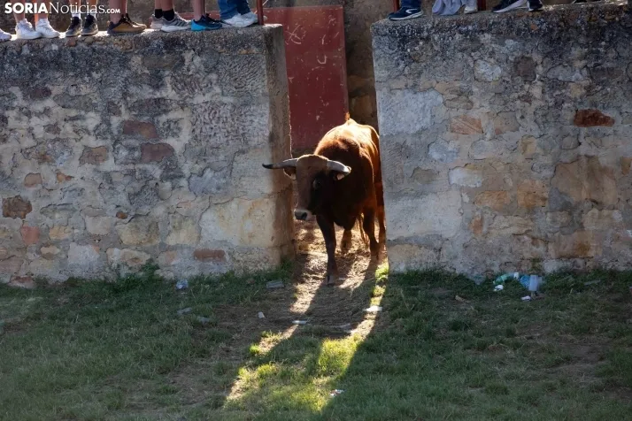 Lavalenguas 2025
