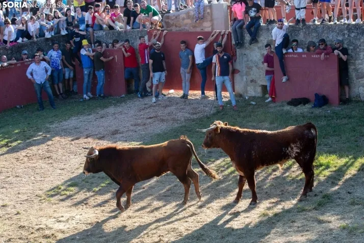 Lavalenguas 2025