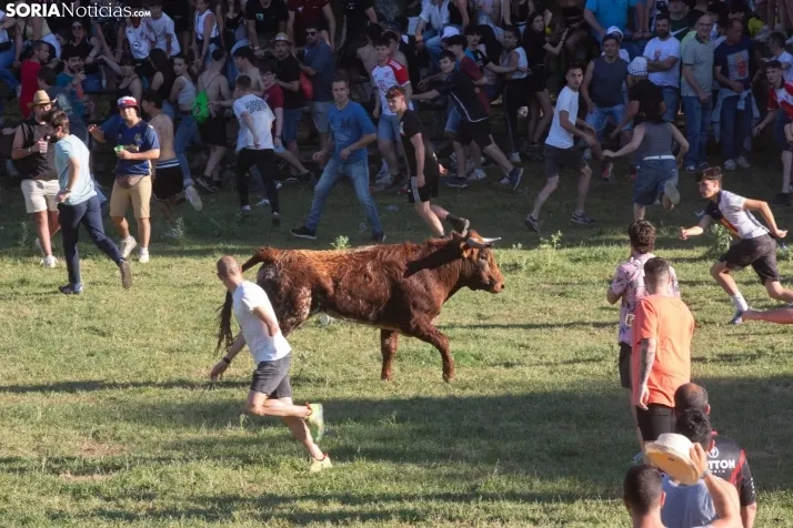 Lavalenguas 2025