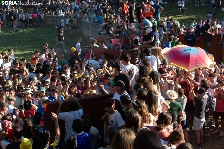 Lavalenguas 2025
