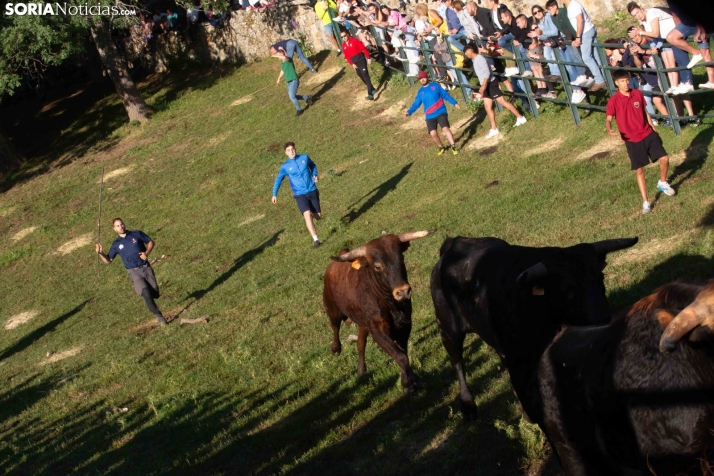 Lavalengüillas 2025