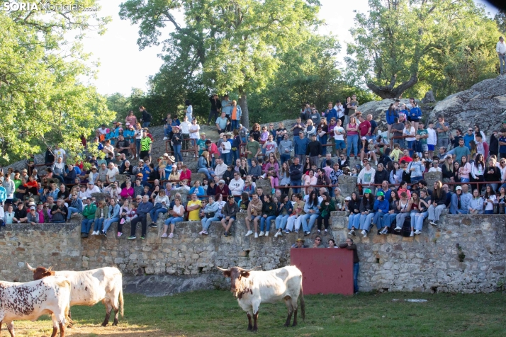 Lavalengüillas 2025