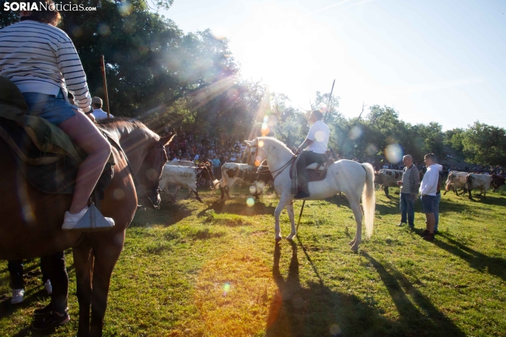 Lavalengüillas 2025