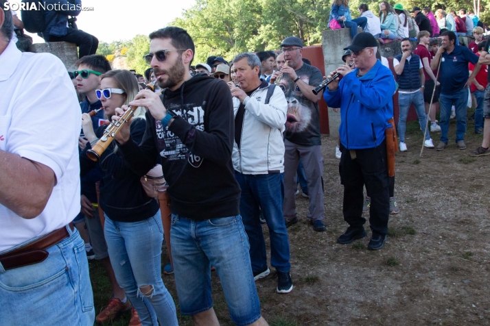 Lavalengüillas 2025