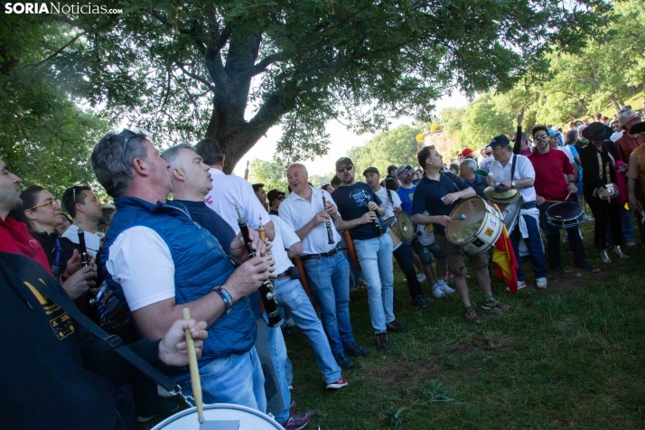 Lavalengüillas 2025