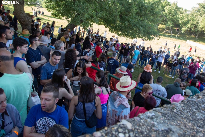 Lavalengüillas 2025