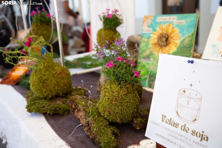 Mercado tradicional de Almarza 2025