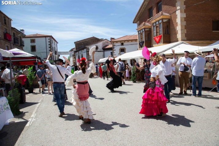 Mercado tradicional de Almarza 2025