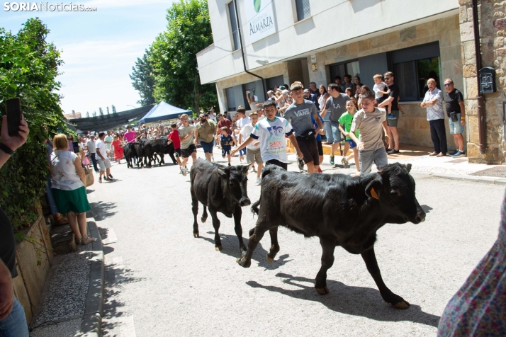 Mercado tradicional de Almarza 2025