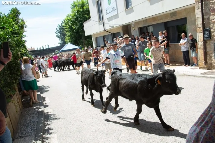 Mercado tradicional de Almarza 2025