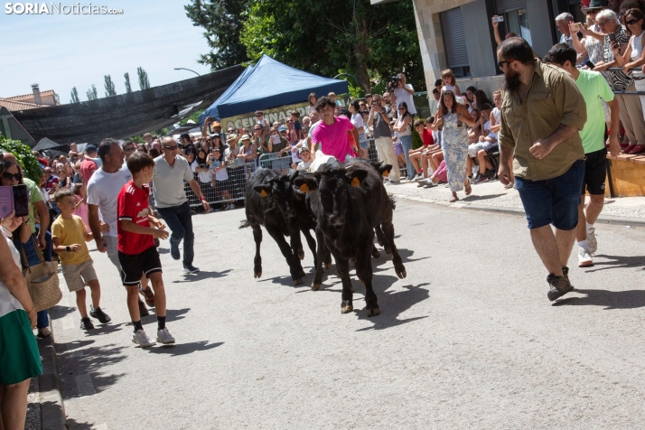 Mercado tradicional de Almarza 2025