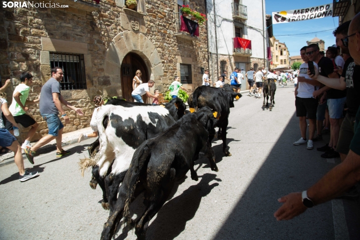 Mercado tradicional de Almarza 2025