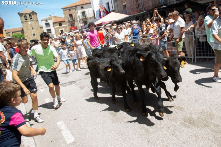 Mercado tradicional de Almarza 2025