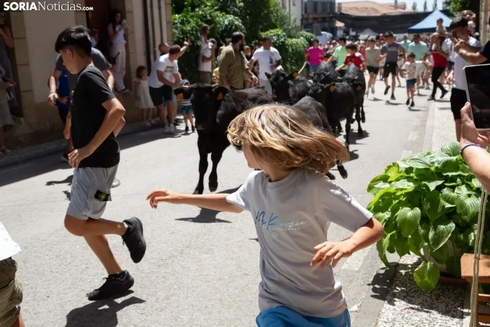 Mercado tradicional de Almarza 2025