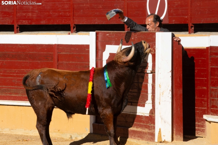 Novillada en clase práctica