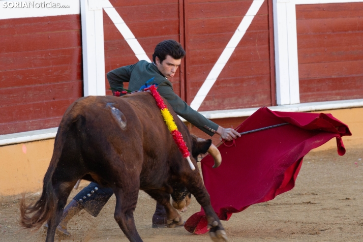 Novillada en clase práctica