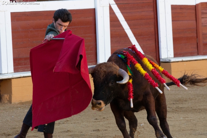 Novillada en clase práctica