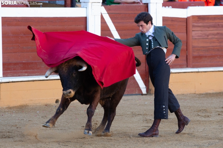 Novillada en clase práctica