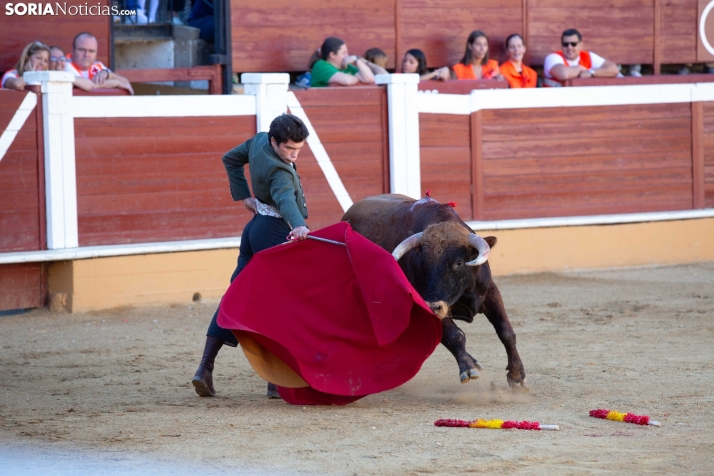 Novillada en clase práctica