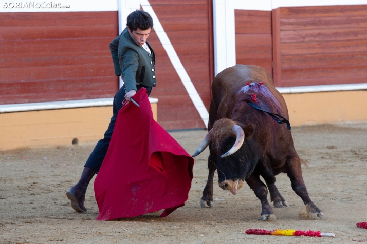 Novillada en clase práctica