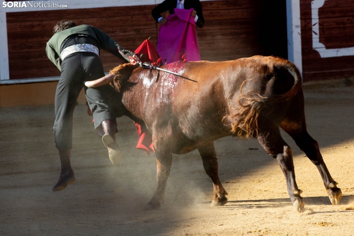 Novillada en clase práctica