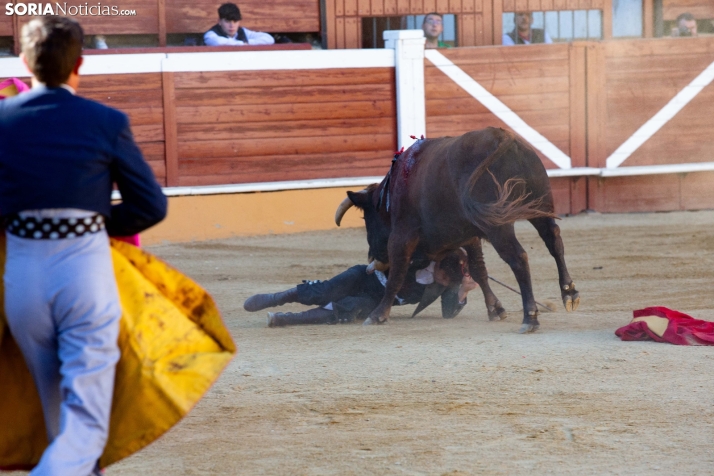 Novillada en clase práctica