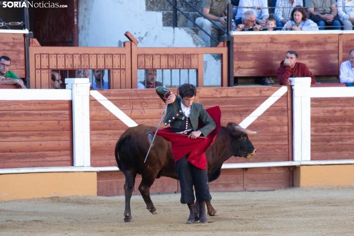 Novillada en clase práctica