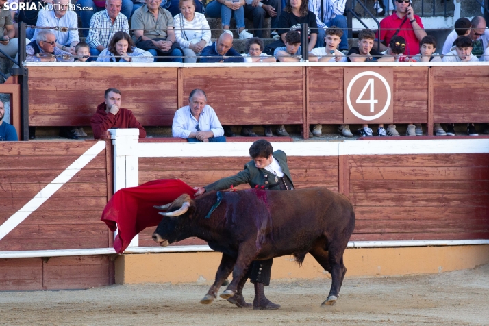 Novillada en clase práctica