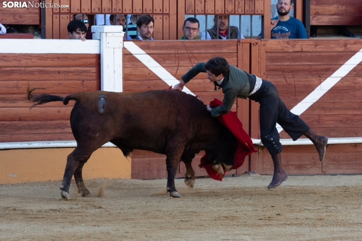 Novillada en clase práctica