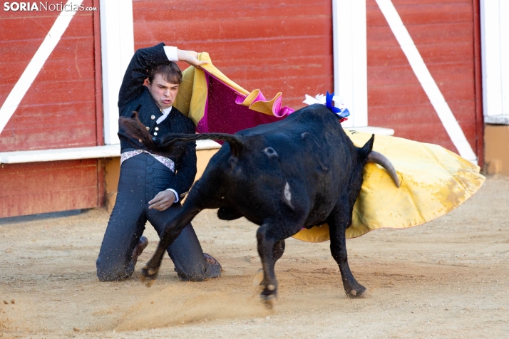 Novillada en clase práctica