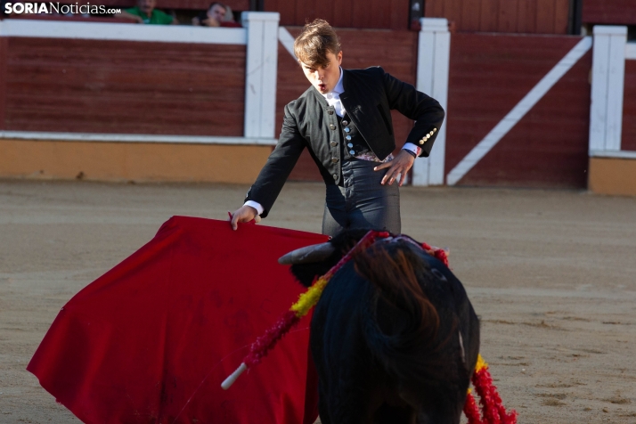 Novillada en clase práctica