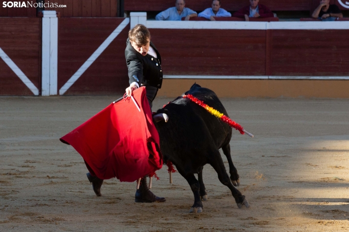 Novillada en clase práctica