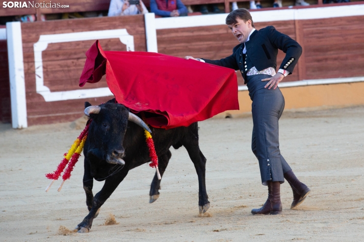 Novillada en clase práctica