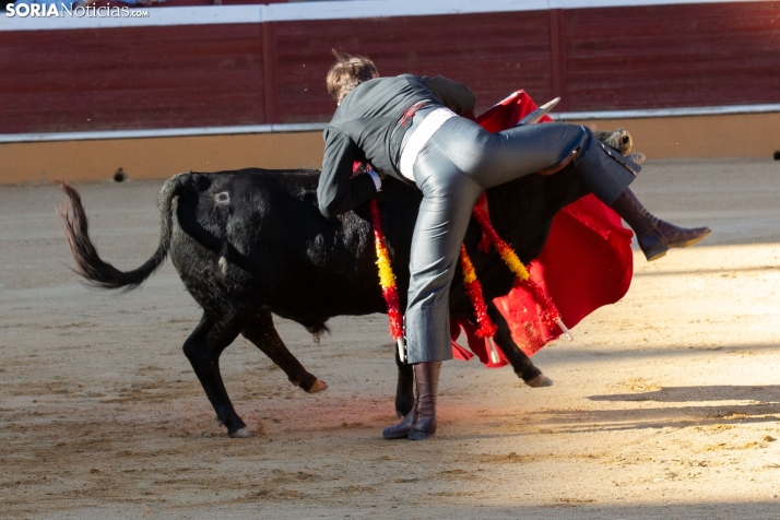 Novillada en clase práctica