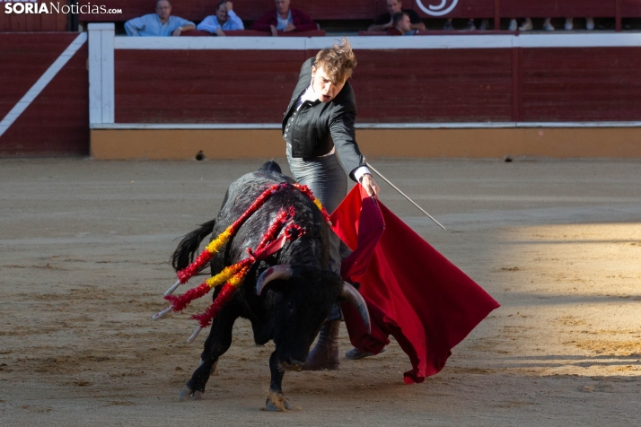 Novillada en clase práctica