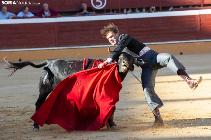 Novillada en clase práctica