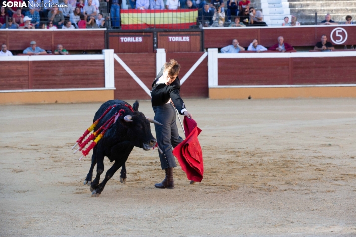 Novillada en clase práctica